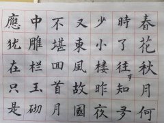 肖晓东