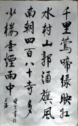 王晓光