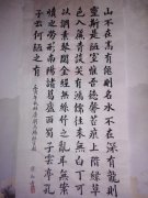 張红旗