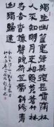 赵华