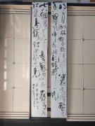 赵运希