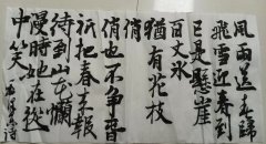 倪新栋
