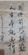 陈鹏飞