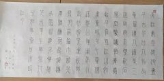 邹伯君