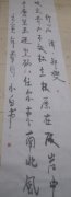 刘卫强