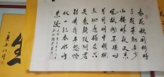 赵宏安