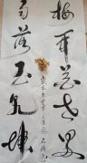 石生伟
