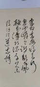 张佑元