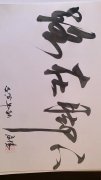 赵子设