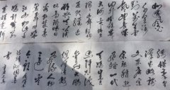 白宝林