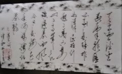谭翔