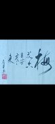 王志华