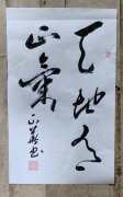 叶正华