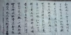 赵文智