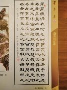 顾同辰