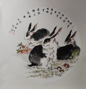 康进龙