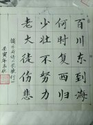 田园隐者