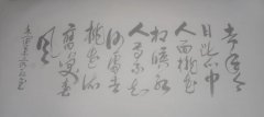 晋文红