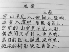 臧宪斌