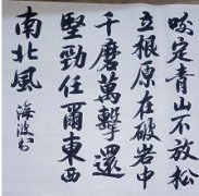 肖海波