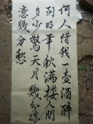 曹传聪