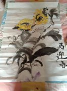 马迎春