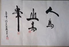杨向保