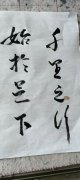 谢玉华