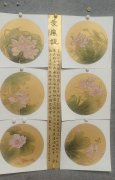 郑颖晖