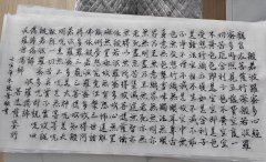 张蕾
