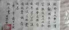 王思权