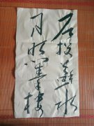 张艺竞
