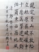 张树才